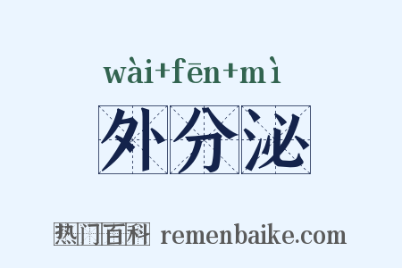 外分泌是什么意思的图片